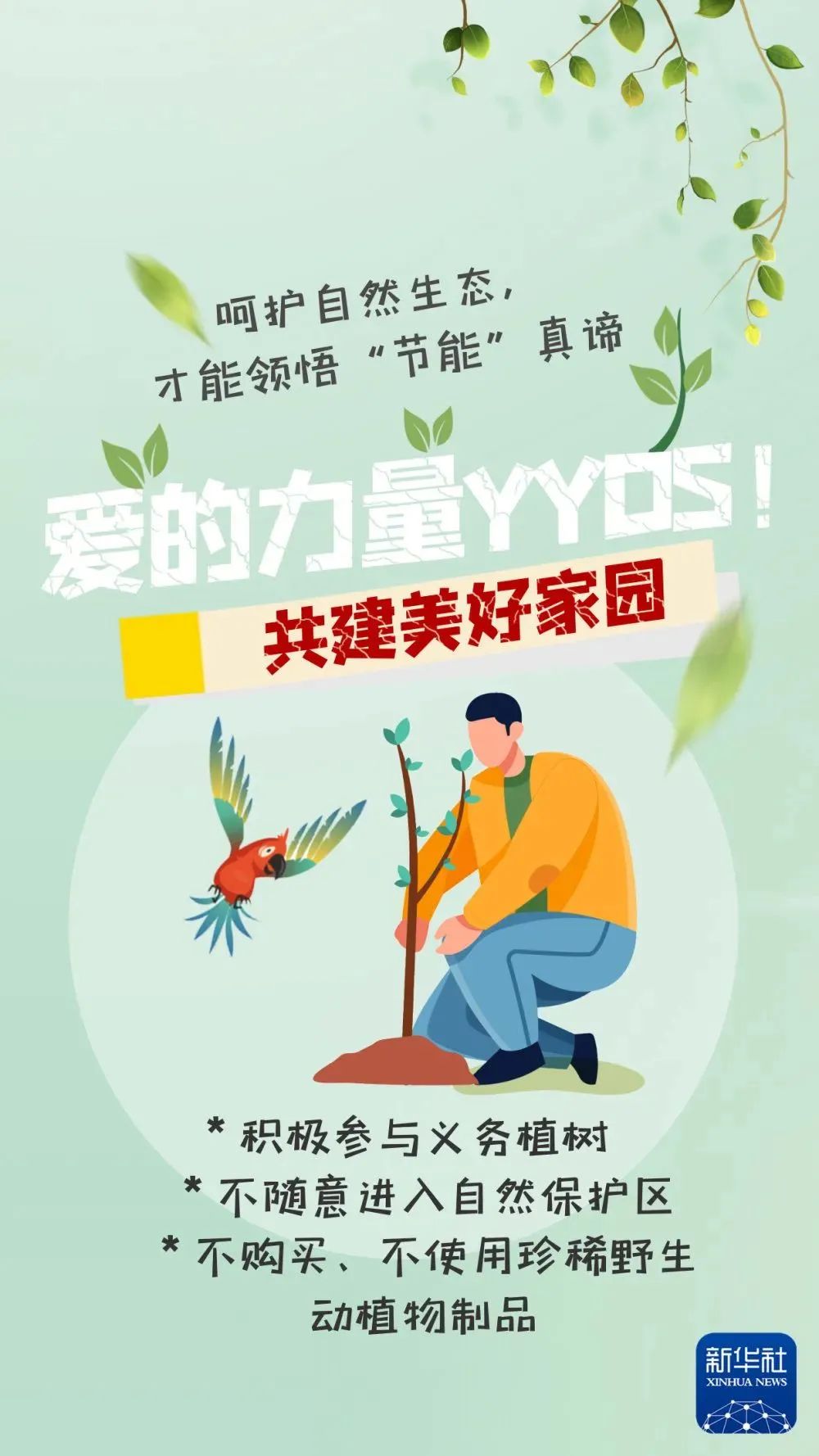 1718261497667.jpg 7.jpg