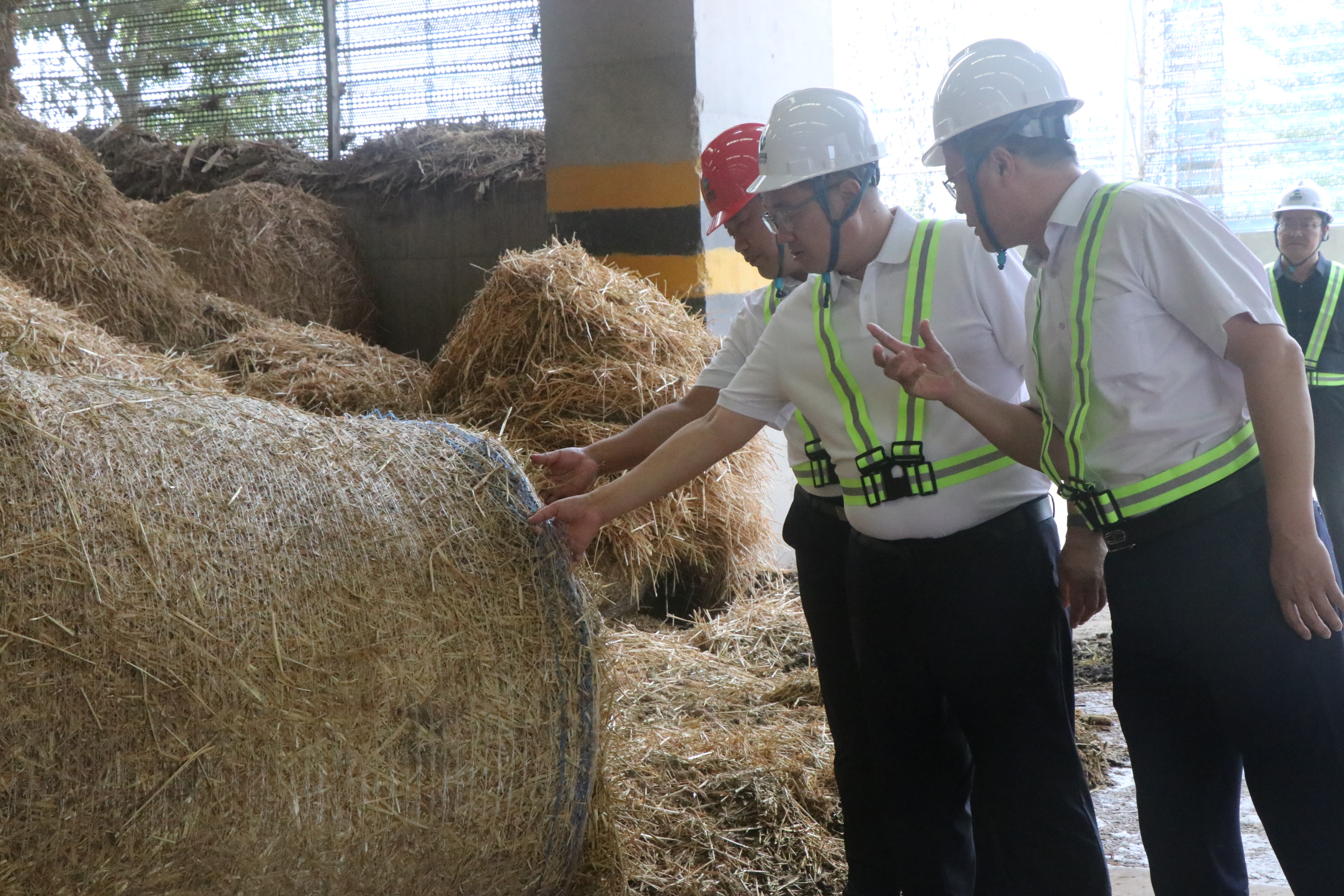 1723717031403.jpg 曹炳涛2.jpg